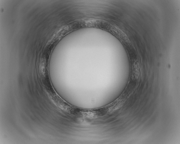 X0000081270698200701251603