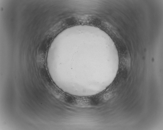 X0000081270707200701251603