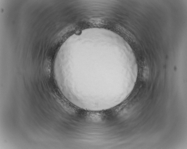 X0000081270710200701251603