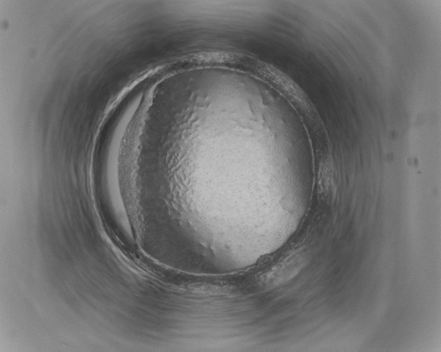 X0000081270722200701251602