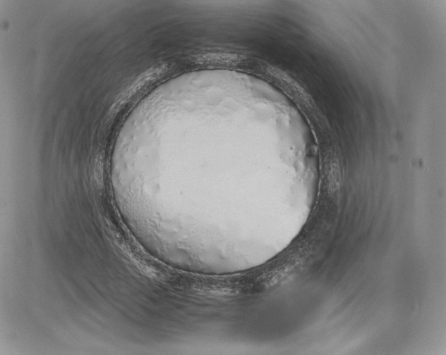 X0000081270729200701251602
