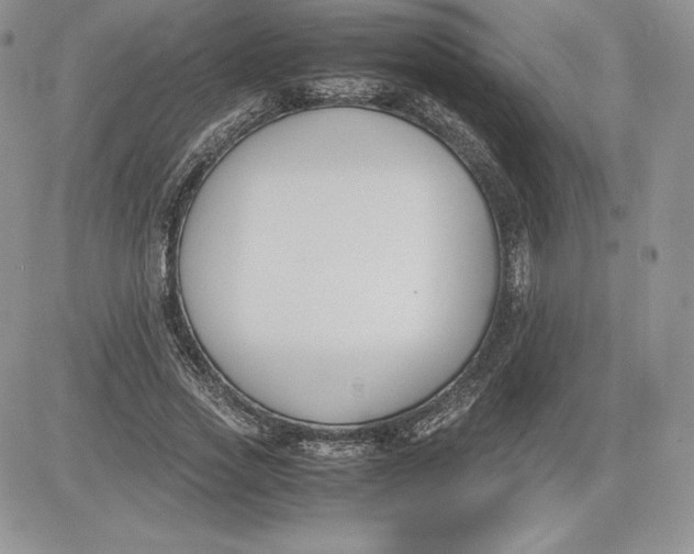X0000081270733200701251602