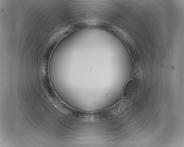 X0000081270740200701251602