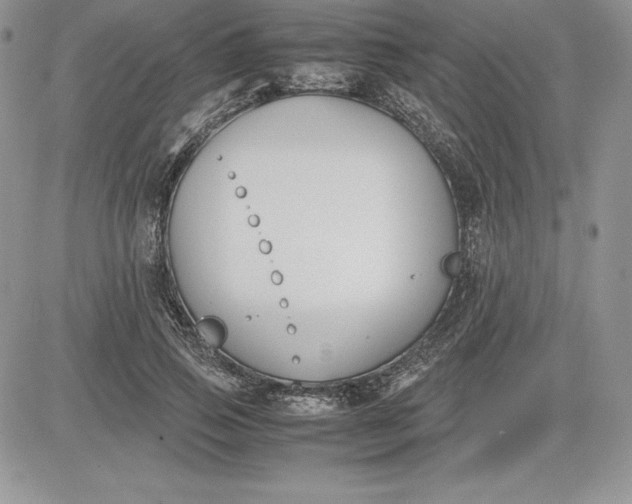 X0000081270741200701251602