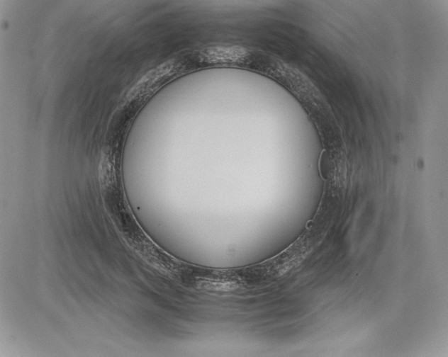 X0000081270743200701251602