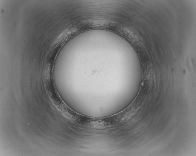 X0000081270744200701251602