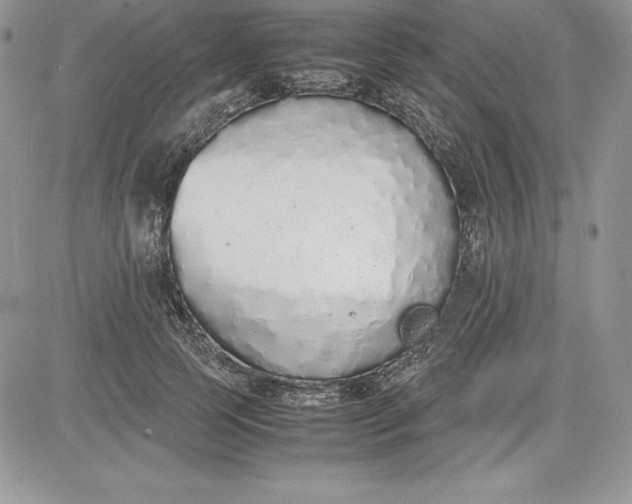 X0000081270745200701251602