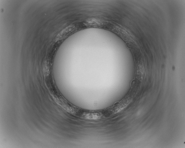 X0000081270751200701251602