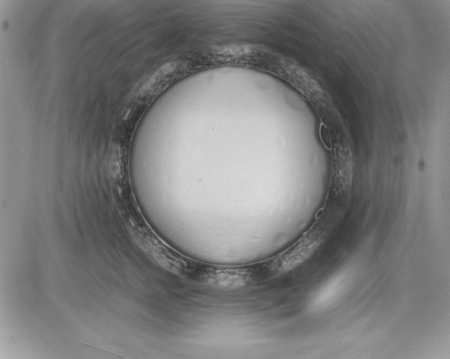 X0000081270758200701251602