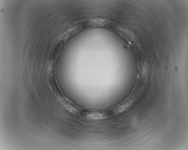 X0000081270759200701251602