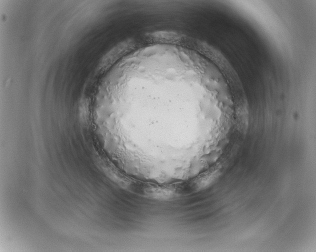 X0000081270765200701251602