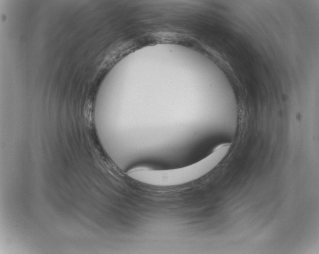 X0000081270766200701251602