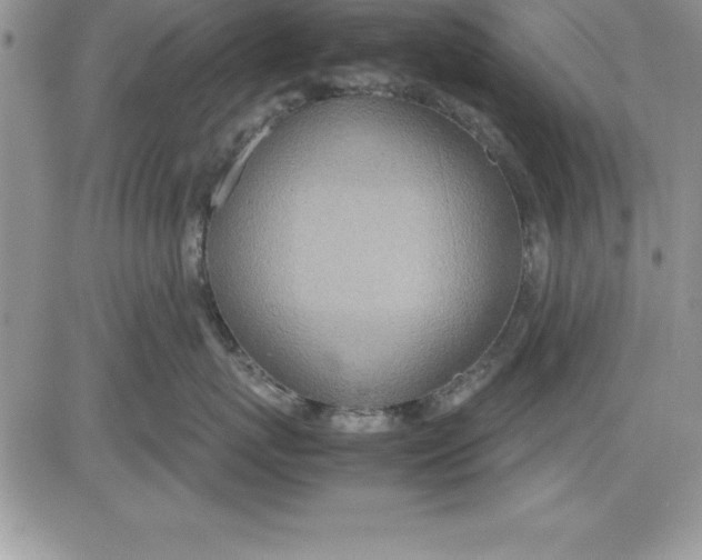 X0000081270767200701251602