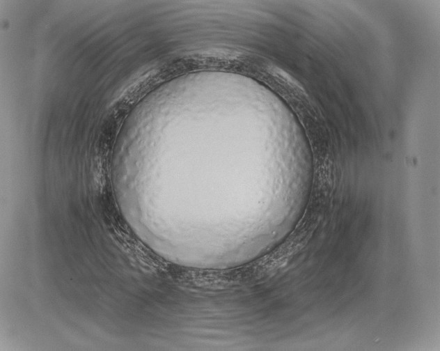 X0000081270774200701251602