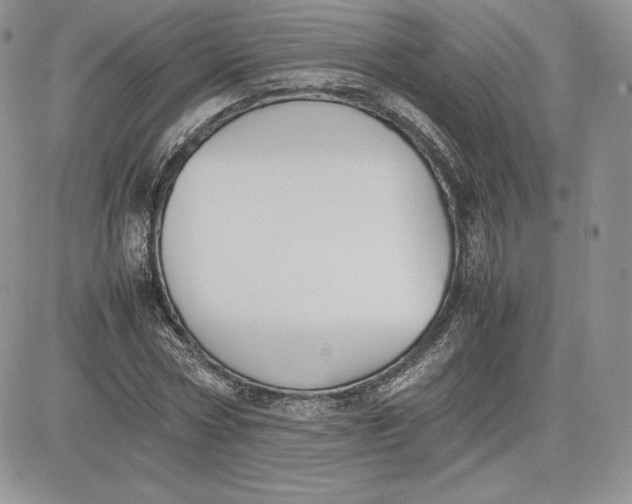 X0000081270778200701251602