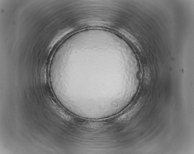 X0000081270782200701251601