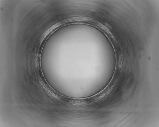 X0000081270786200701251601