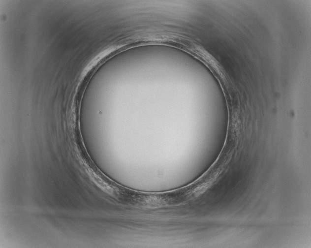 X0000081270787200701251601