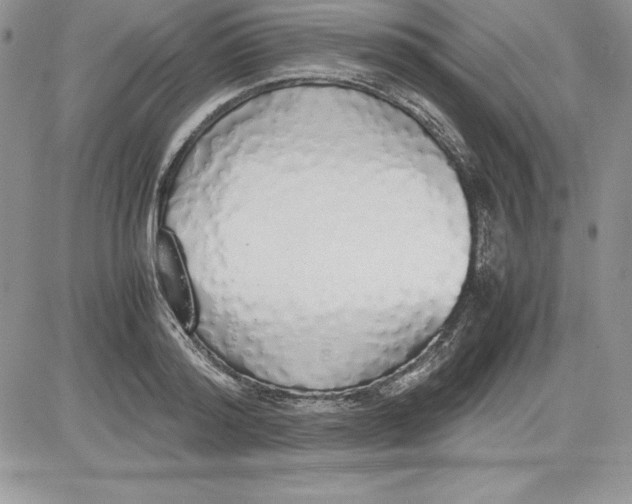 X0000081270796200701251601
