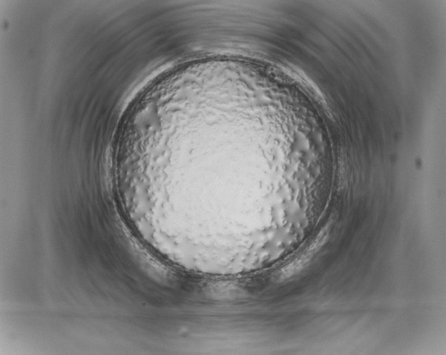 X0000081270798200701251601