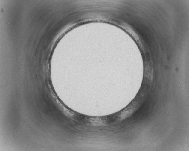 X0000081270807200701251601