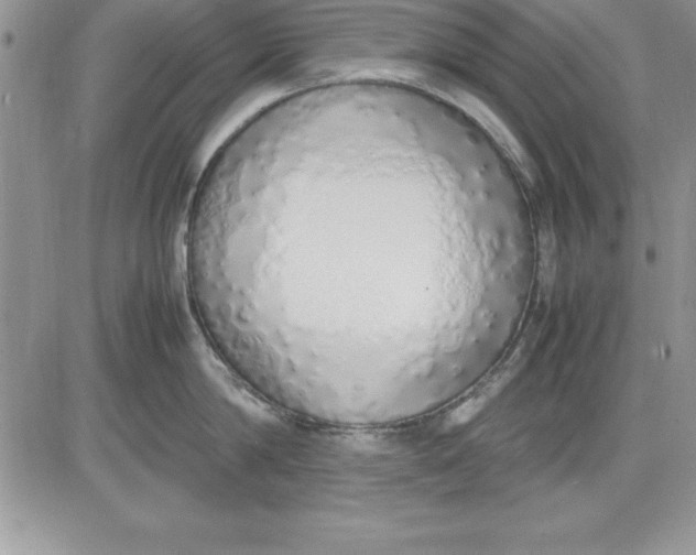 X0000081270814200701251601
