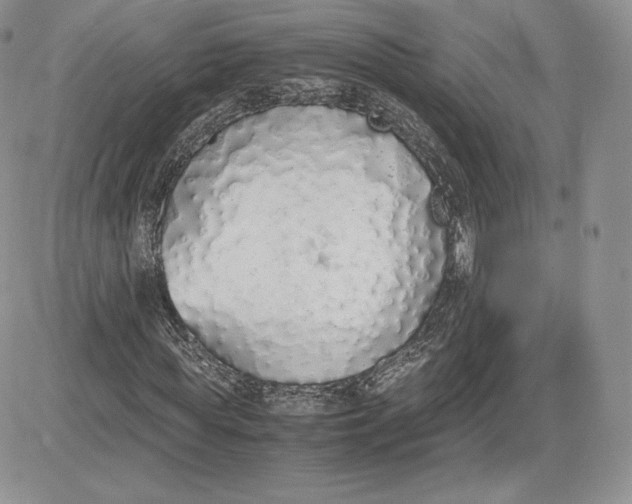 X0000081270819200701251600