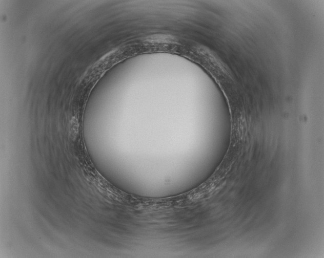 X0000081270821200701251600