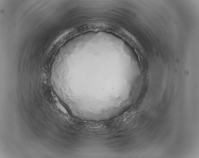 X0000081270823200701251600
