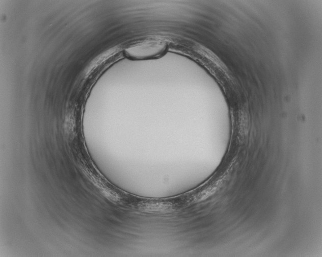 X0000081270826200701251600