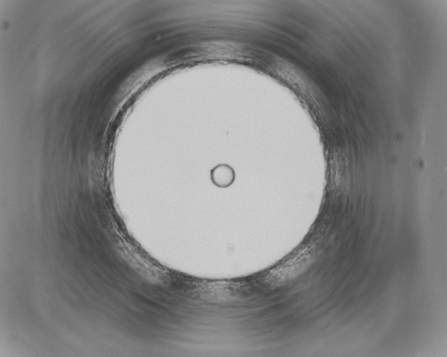X0000081270828200701251600