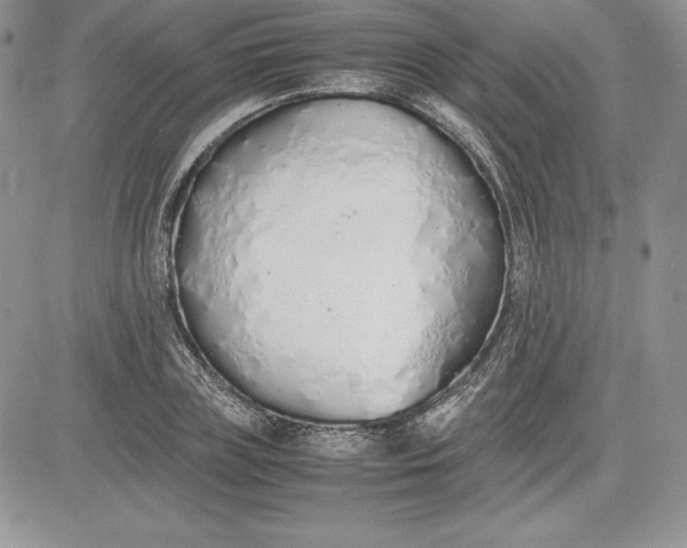 X0000081270835200701251600