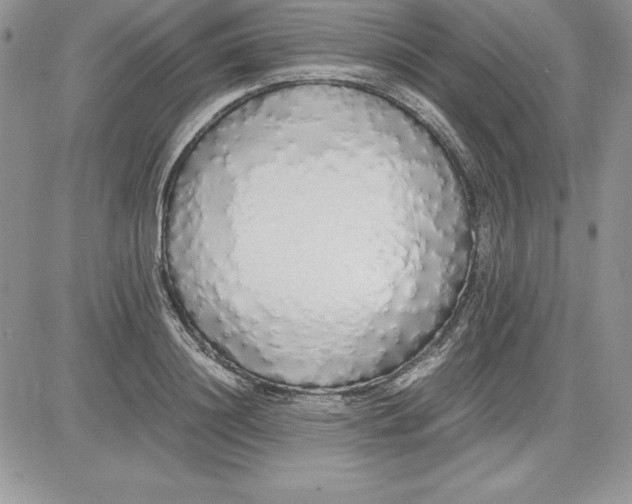 X0000081270844200701251601