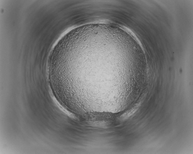 X0000081270851200701251601