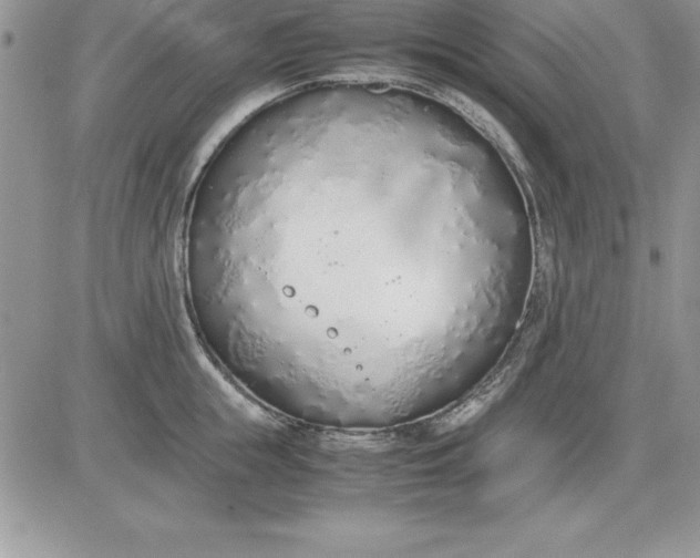 X0000081270855200701251601