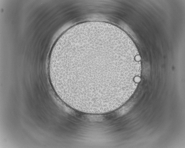 X0000081270856200701251601