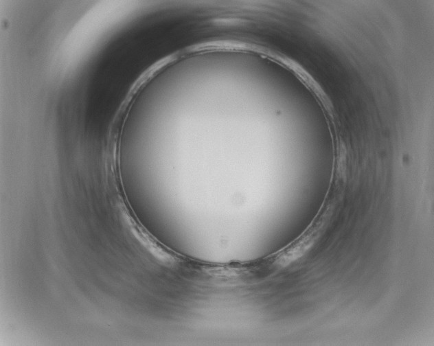 X0000081270862200701251601