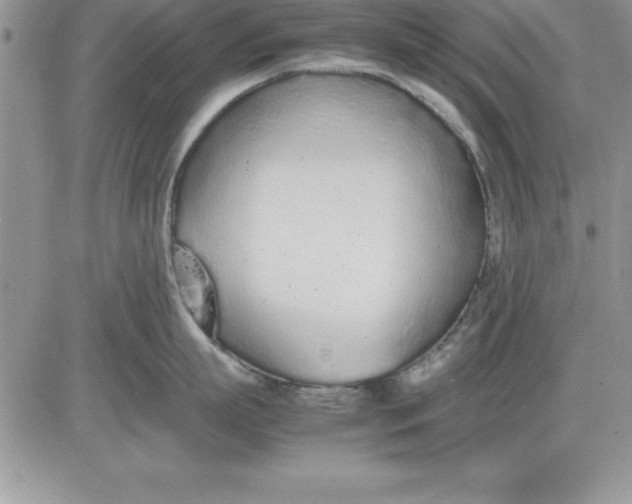 X0000081270863200701251601