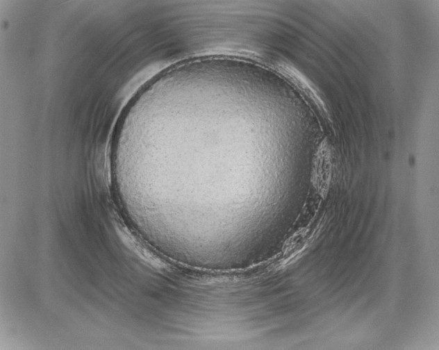 X0000081270892200701251600