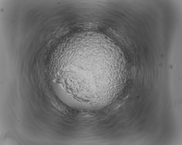X0000081270913200701251559