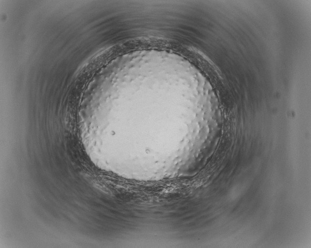 X0000081270919200701251559