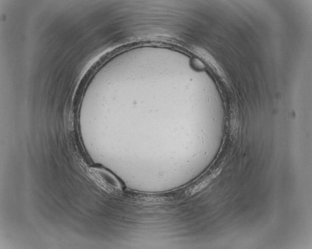 X0000081270924200701251559