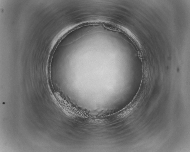X0000081270943200701251559