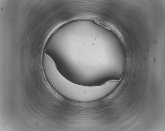X0000081270948200701251559