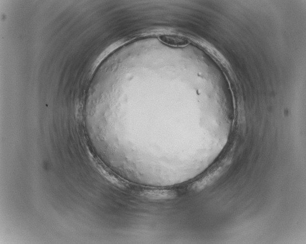 X0000081270953200701251559