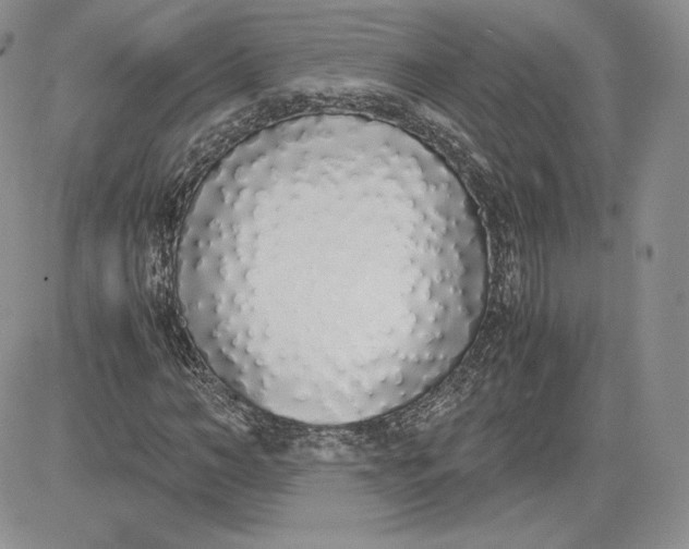 X0000081270966200701251559