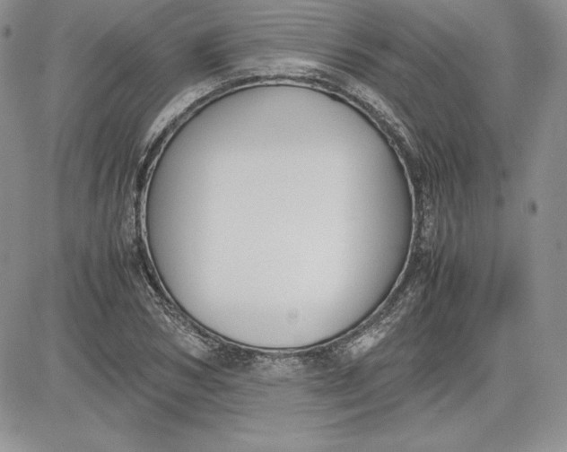 X0000081270978200701251558