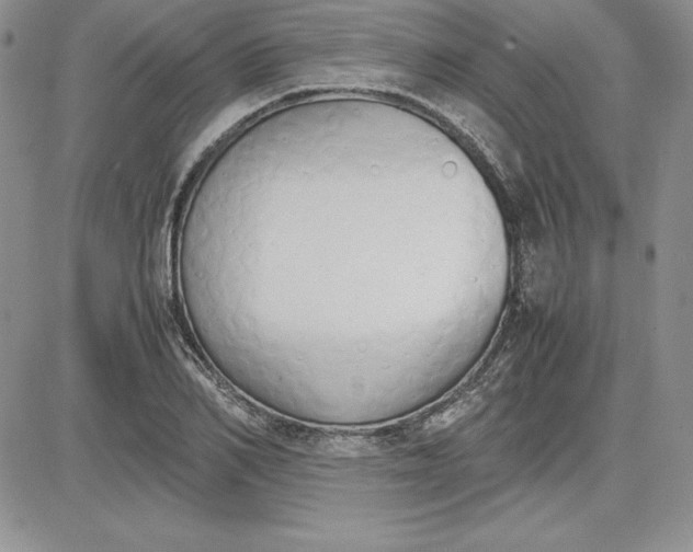 X0000081270982200701251558