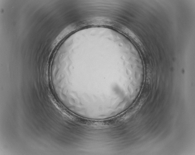 X0000081270986200701251558