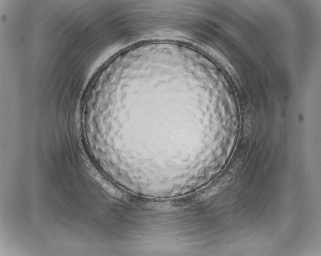X0000081270990200701251558
